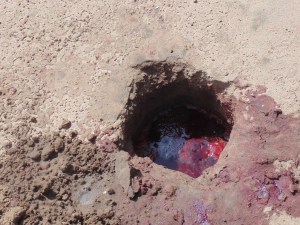 The blood is let into a hole and left unburied for three days. Gris-gris and traditional medicines are sometimes dipped into the blood to increase their potency.